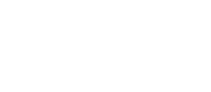 FSC MIX Paper — FSC C126810
